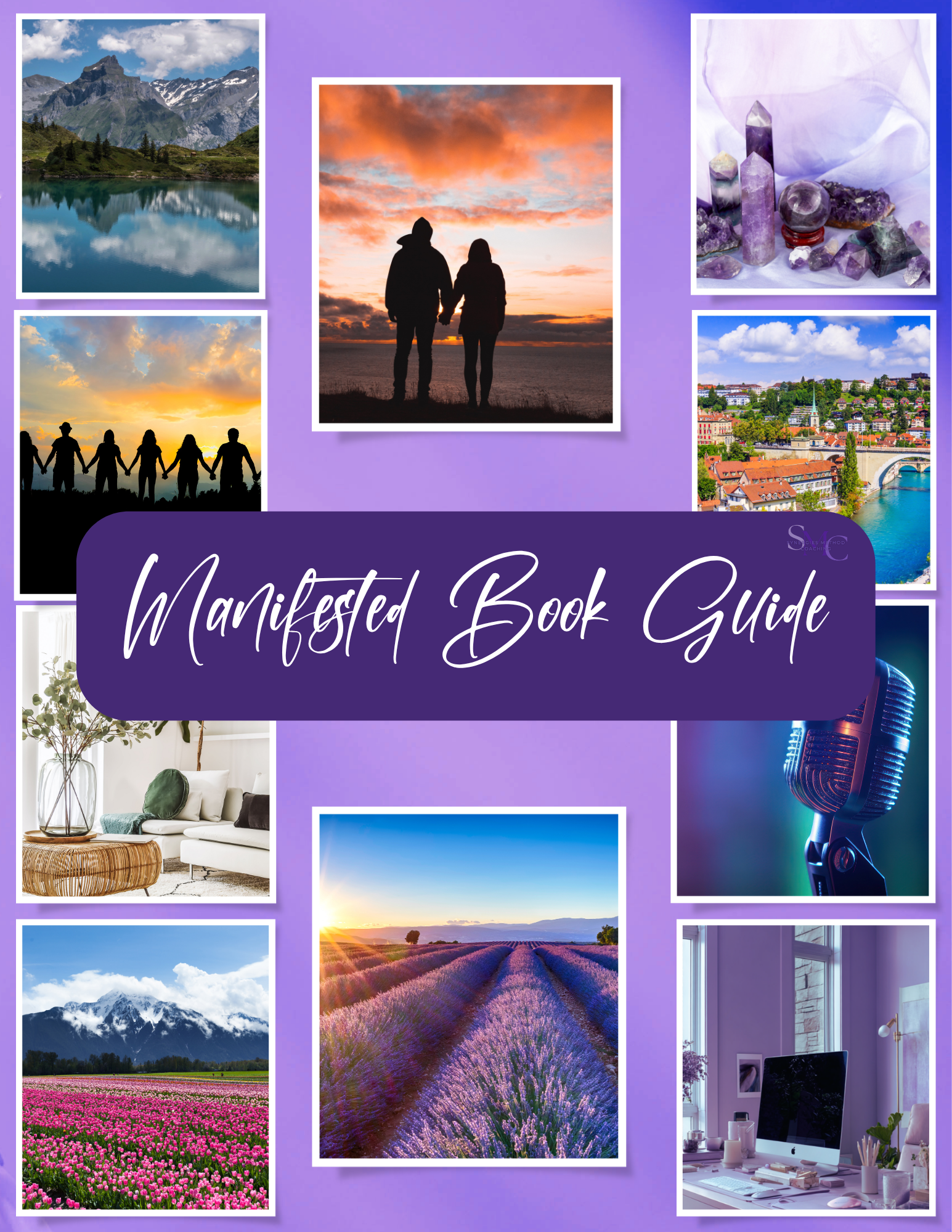 Manifested Vision Book Action Guide & Workbook