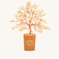 Illuminated Path Citrine November Birthday Tree