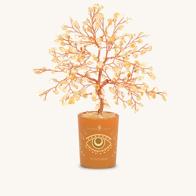 Illuminated Path Citrine November Birthday Tree
