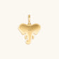 Resilient Spirit Elephant Charm