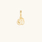 Universal Sound Om Charm