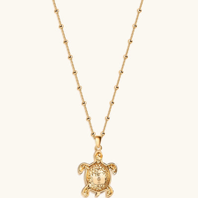Intuitive Wisdom - Multi Symbol Chakra Turtle Necklace